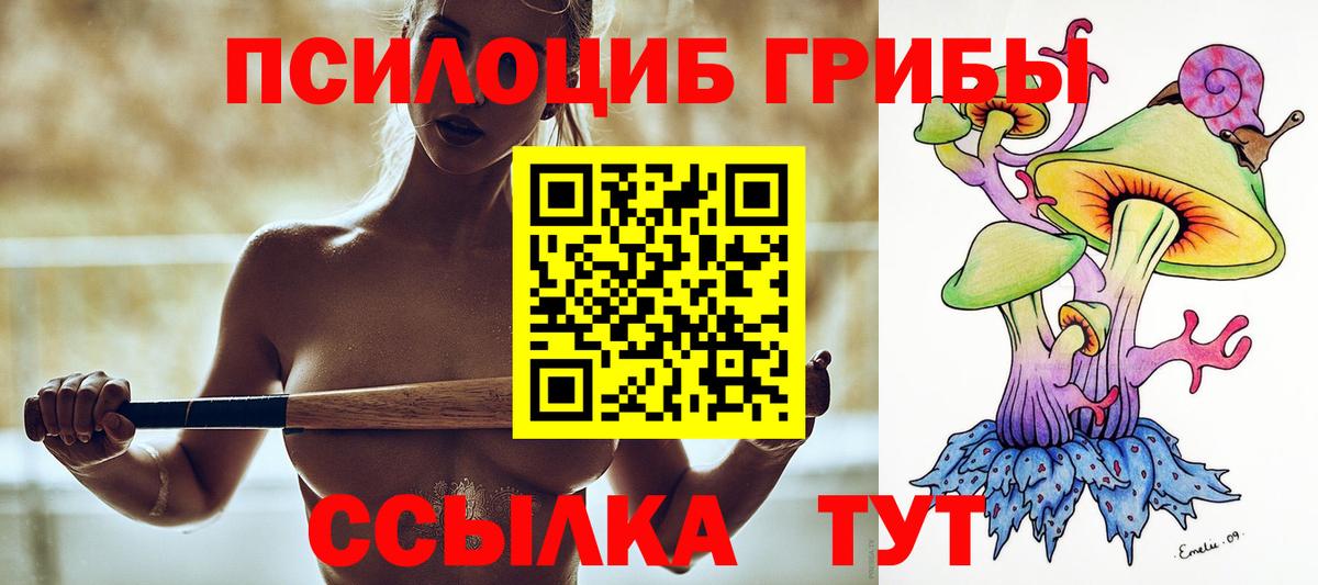 Галлюциногенные грибы Psilocybe Глазов
