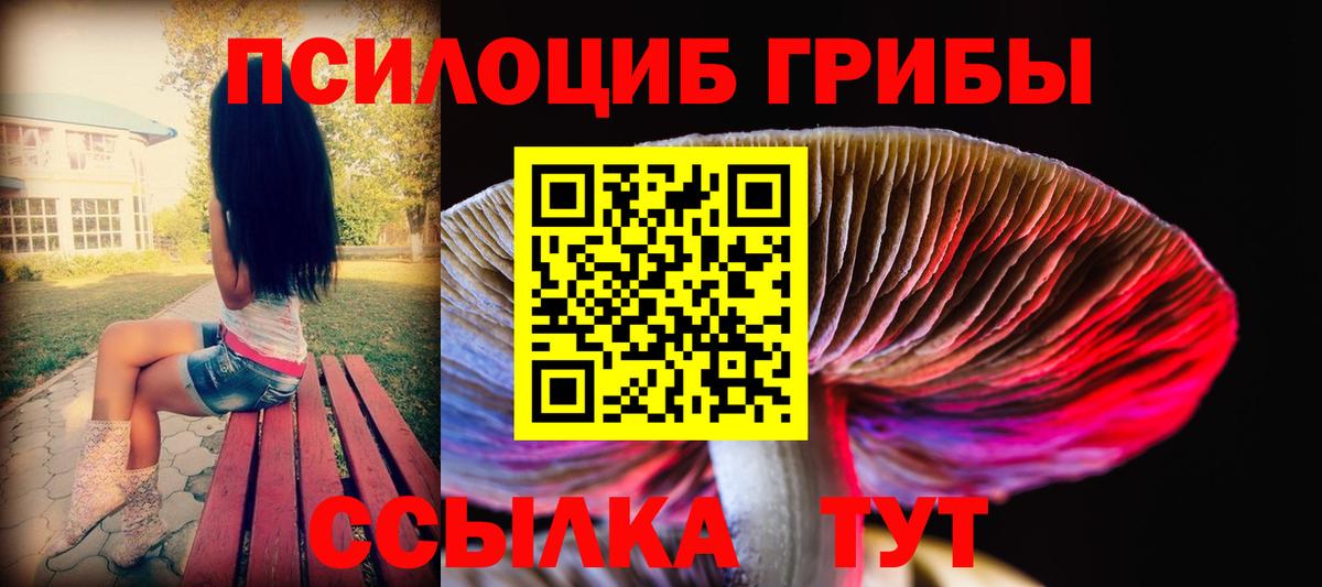 Глазов  Псилоцибиновые грибы Magic Shrooms  Вход с VPN  Галлюциногенные грибы MAGIC MUSHROOMS 