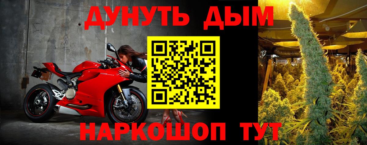 Бошки марихуана White Widow  Вход с VPN  Глазов  Марихуана семена  Конопля планчик  Бошки Шишки Amnesia 